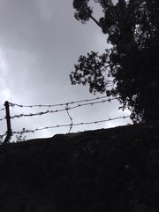 prigione