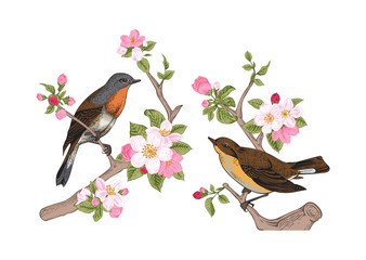 Vintage vector spring card. Birds on a branch.