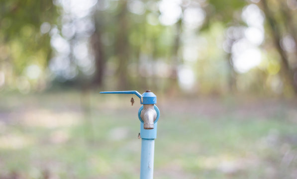 faucet
