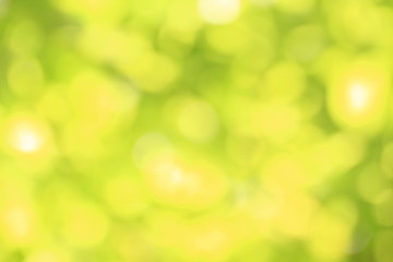 Obraz premium Bokeh Blurred