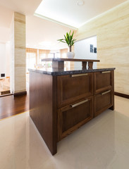 cupboard in the modern kitchen interior