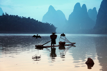 Chinese man fishing with cormorants birds in Yangshuo, Guangxi r