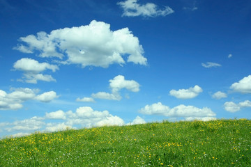 Landschaftshintergrund mit Butterblumenwiese und Wolkenhimmel