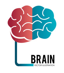 Brain design, vector illustration.