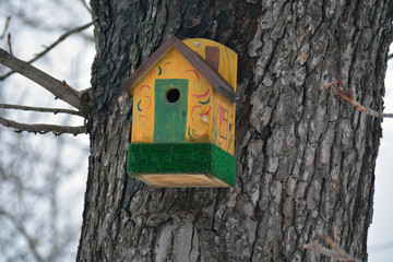 ornate yellow birdhouse on the trunk in the park