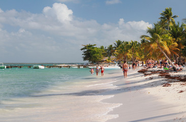 On tropical beach. Isla Saona, La Romana, Dominican republic