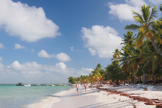 Tropical beach. Isla Saona, La Romana, Dominican republic
