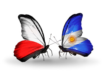 Two butterflies with flags Poland and Argentina