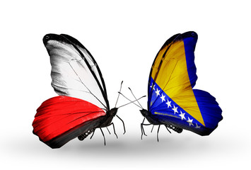 Two butterflies with flags Poland and Bosnia and Herzegovina