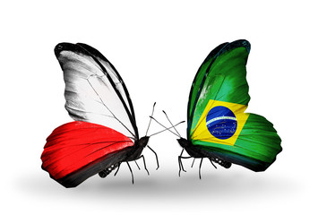 Two butterflies with flags Poland and Brazil