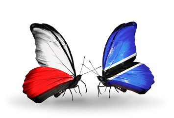 Two butterflies with flags Poland and Botswana