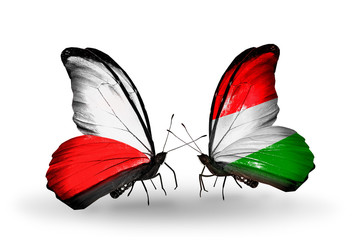 Two butterflies with flags Poland and Hungary