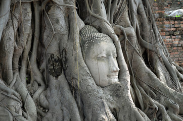 Buddha head in banyan tree roots (Ayutthaya)