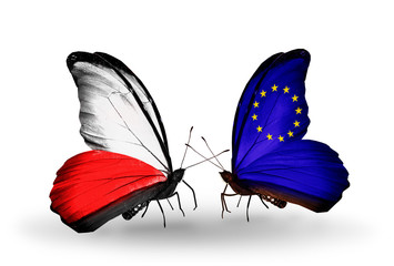 Two butterflies with flags Poland and European Union