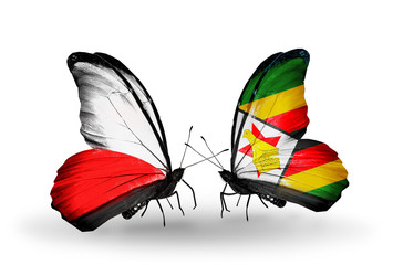 Two butterflies with flags Poland and Zimbabwe