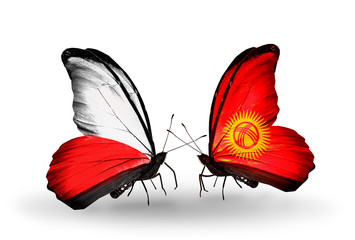 Obraz premium Two butterflies with flags Poland and Kirghiz