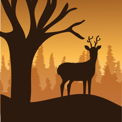Forest design, vector illustration.