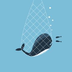 Obraz premium Wieloryb kij z sieci rybackich
