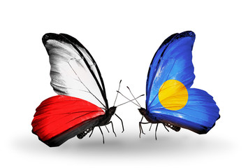 Two butterflies with flags Poland and Palau