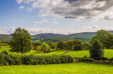 Fototapeta na wymiar Green countryside landscape in Cumbria