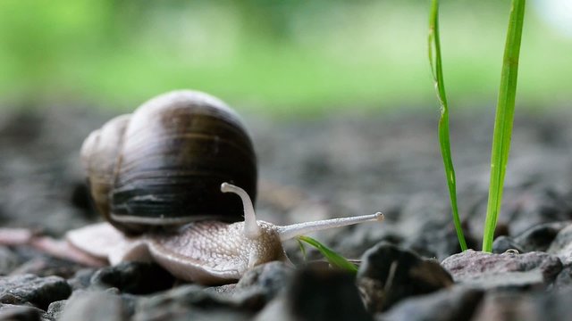 Das Ziel vor Augen