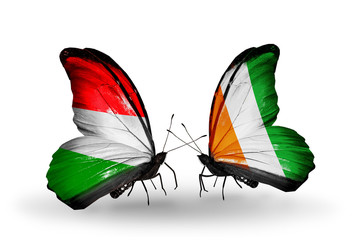 Two butterflies with flags Hungary and Cote Divoire