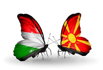 Two butterflies with flags Hungary and Macedonia