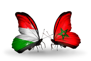 Two butterflies with flags Hungary and Morocco