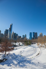Obraz premium Winter Snow on Central Park, New York City.