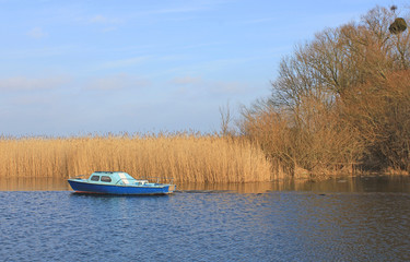 Uferzone am Kummerower See (Mecklenburg-Vorpommern)