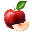 Red Apple vector logo design template. fruit or food icon.