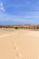 Fototapeta na wymiar Sand desert in Viana Boavista, Cape Verde