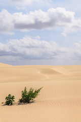Sand desert in Viana Boavista, Cape Verde