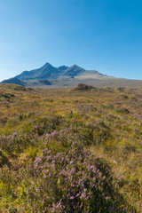 Under the Cuillin Hills at Sligachan