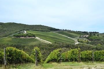 Fototapeta na wymiar Toscana 2