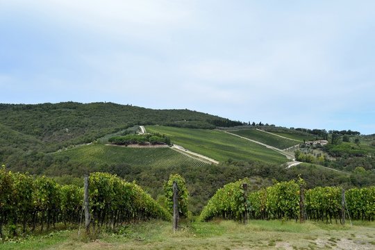 Toscana 1