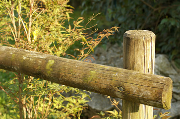 Fence