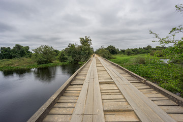 Transpantaneira Road with wooden bridge and car in Pantantal