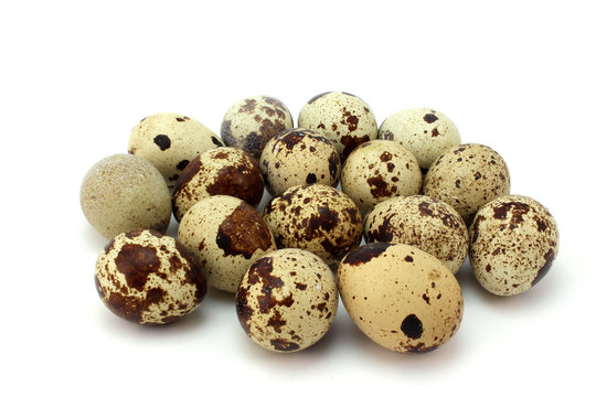 Several brown spotted quail eggs