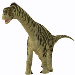 Camarasaurus Juvenile on White © Catmando