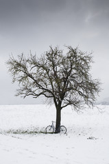 Vintage or retro bicycle left on a tree. Snowy field