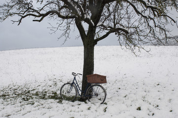 Vintage or retro bicycle with a suitcase left on a tree. Snowy - 77704254