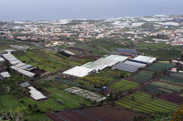 Fruchtbare Ebene bei Punta de Hidalgo
