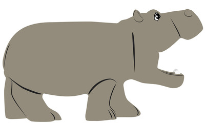 Hippo Cartoon