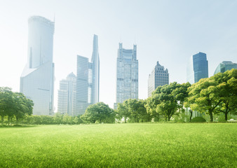 Fototapeta premium park in lujiazui financial centre, Shanghai, China