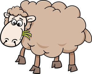 sheep farm animal cartoon illustration