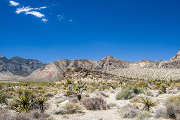 Fototapeta na wymiar Red Rock Canyon Panorama, Nevada, USA