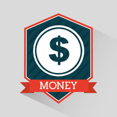 money icon