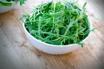 Fresh organic green salad  (Eruca sativa)