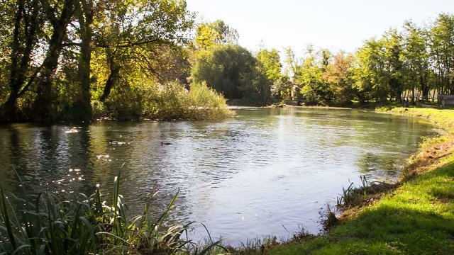 mincio fiume parco video